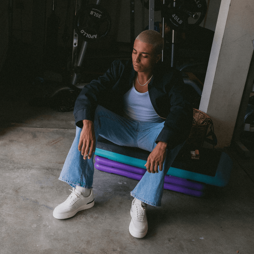 Vans 2025 apollo shoes