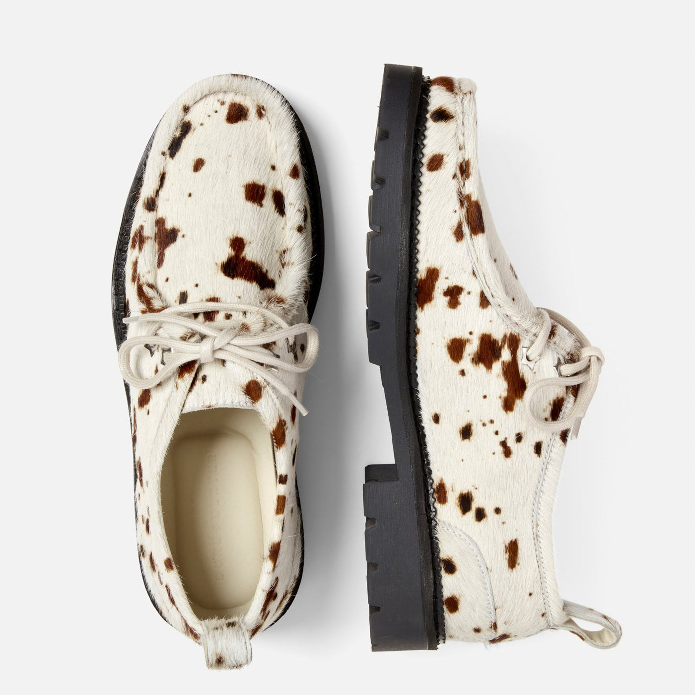 靴 COACH DUKE GLF SDE/PERF COW NAP 8M Plus Duke Snake Cracked Leather GAT Shoe - Women's | DUKE + DEXTER