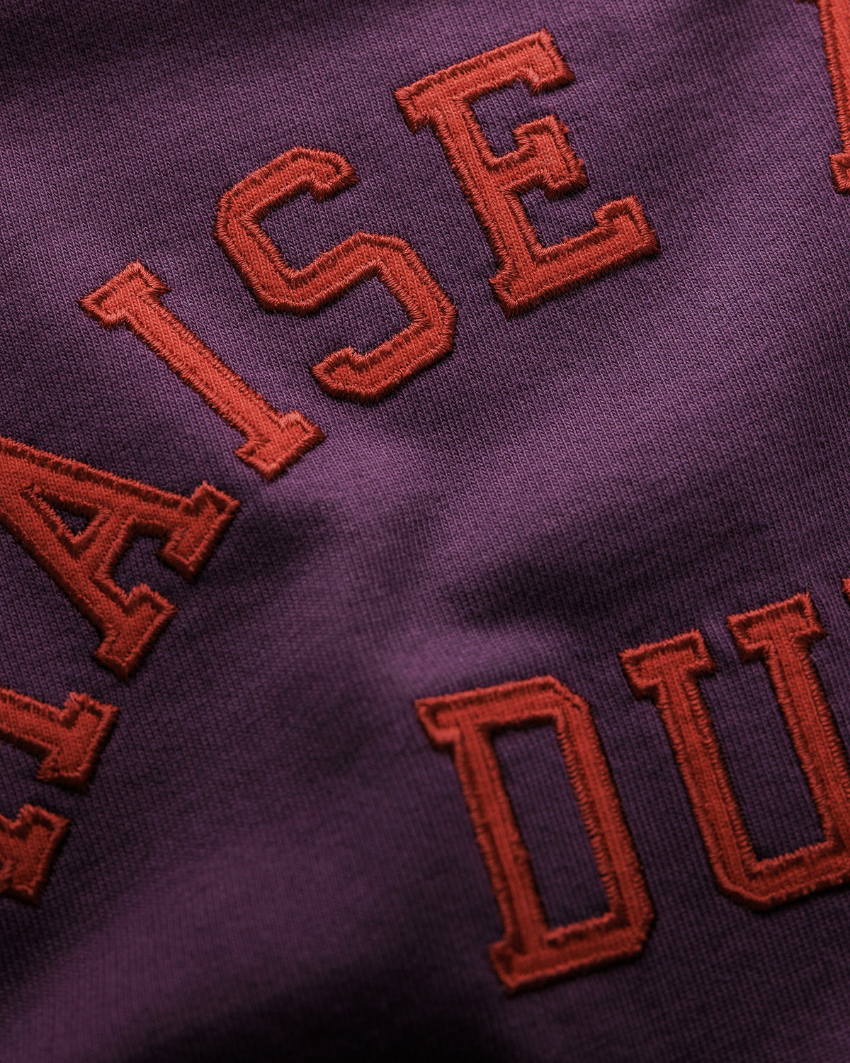 MC Raise Hell Dark Mauve + Vintage White College T-Shirt