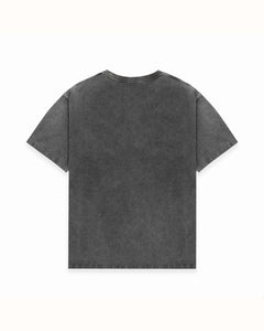 Pin Up II Washed Grey T-Shirt