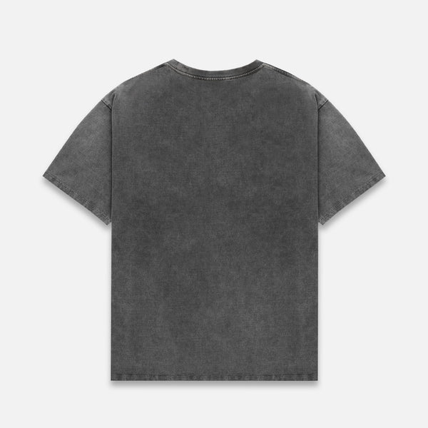 Pin Up II Washed Grey T-Shirt